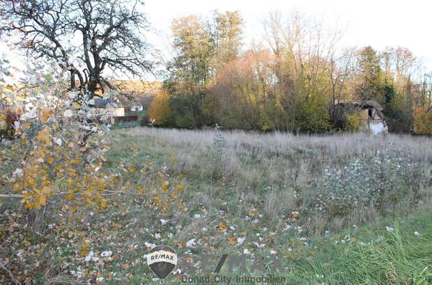 Grundstück kaufen in 2116 Nodendorf (Bild 2)