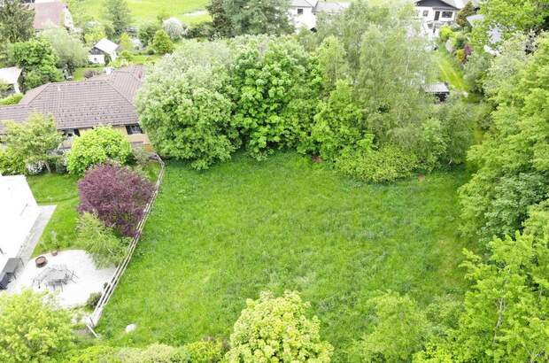 Grundstück kaufen in 4201 Eidenberg (Bild 1)