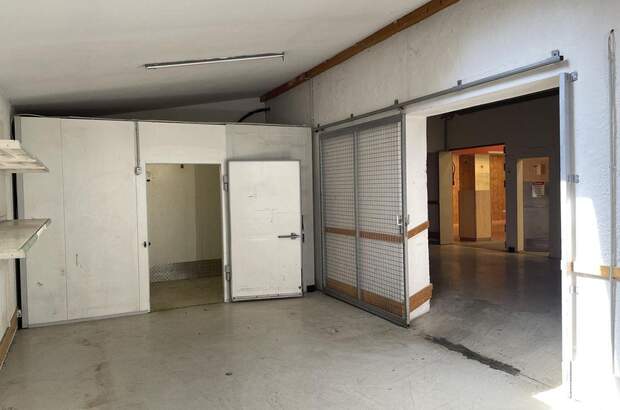 Gewerbeobjekt mieten in 3910 Zwettl (Bild 5)