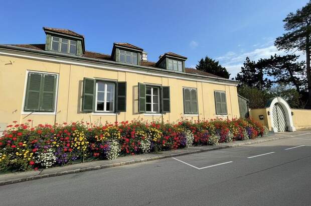 Haus kaufen in 2102 Bisamberg (Bild 1)