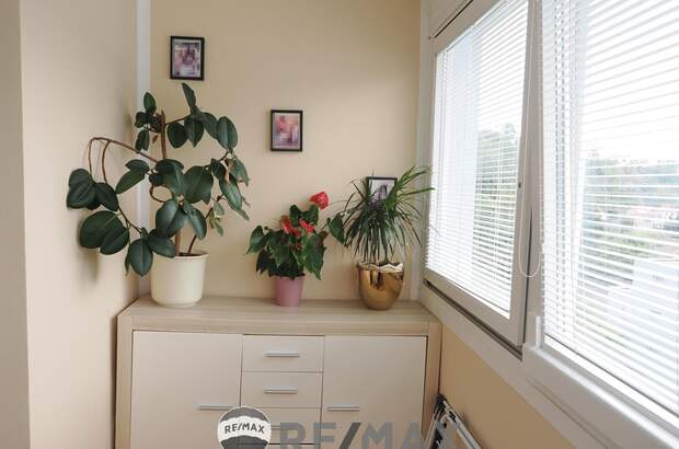 Terrassenwohnung kaufen in 3500 Krems (Bild 5)