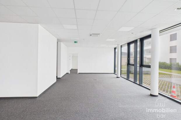 Gewerbeobjekt mieten in 4061 Pasching (Bild 5)