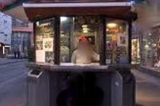 Gewerbeobjekt mieten in 1100 Wien (Bild 2)