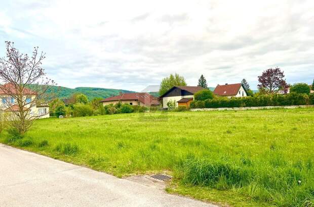 Grundstück kaufen in 3424 Zeiselmauer (Bild 1)