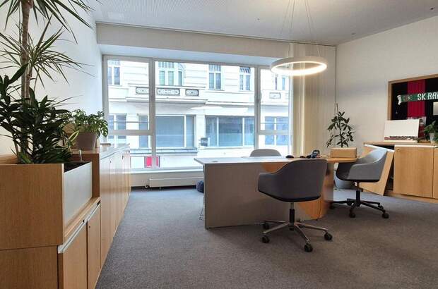 Gewerbeobjekt mieten in 1070 Wien (Bild 2)