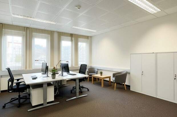 Gewerbeobjekt mieten in 8042 Graz (Bild 3)