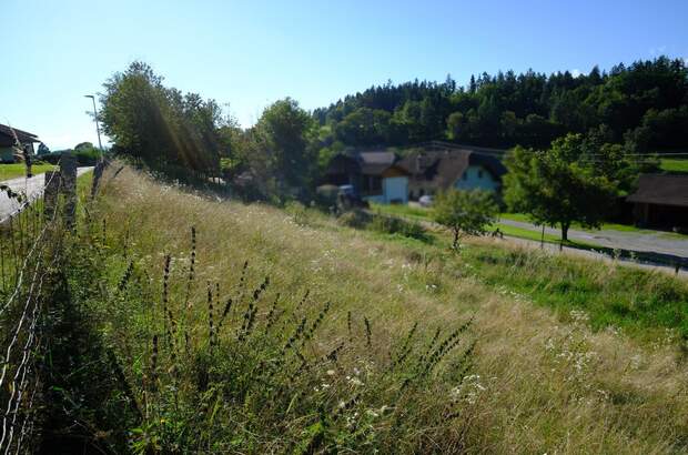 Grundstück kaufen in 9535 Schiefling (Bild 2)