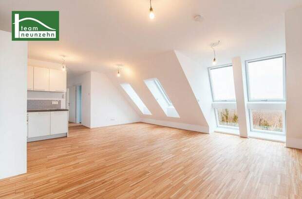 Terrassenwohnung mieten in 1220 Wien (Bild 1)