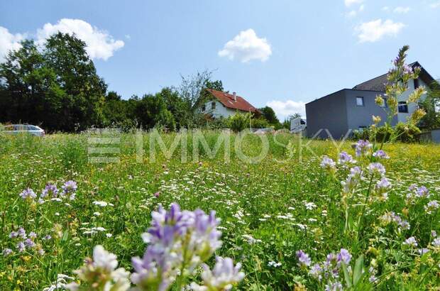 Grundstück kaufen in 4616 Weißkirchen (Bild 1)