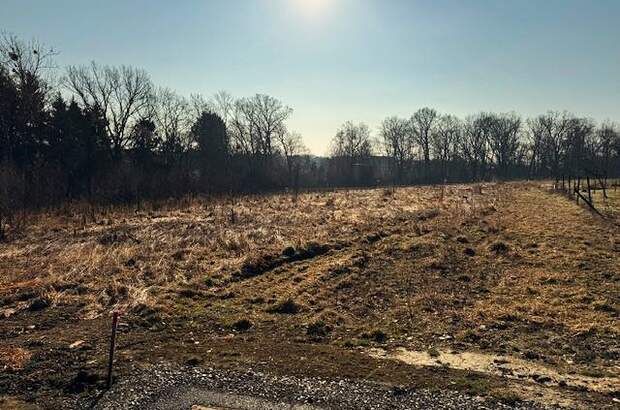 Grundstück kaufen in 8264 Hainersdorf (Bild 2)