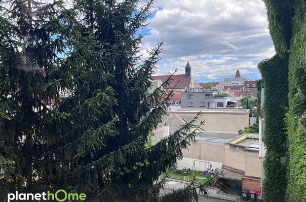 Wohnung kaufen in 2700 Wr. Neustadt (Bild 4)