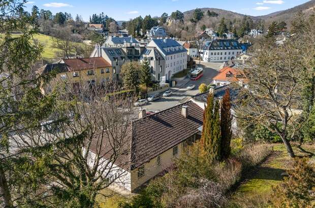 Einfamilienhaus kaufen in 1190 Wien (Bild 1)