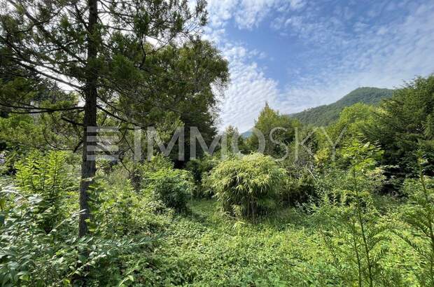 Grundstück kaufen in 2754 Waldegg (Bild 1)