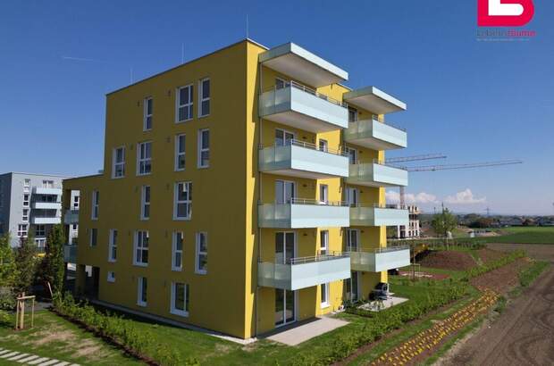 Wohnung mit Balkon kaufen in 4481 Asten (Bild 1)