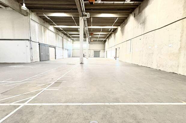 Gewerbeobjekt mieten in 2334 Vösendorf (Bild 5)