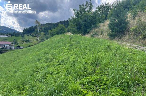 Grundstück kaufen in 8541 Bad Schwanberg (Bild 4)