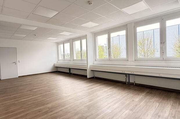 Gewerbeobjekt mieten in 2320 Schwechat (Bild 2)