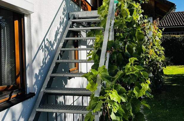 Haus mit Garten kaufen in 4150 Rohrbach (Bild 3)