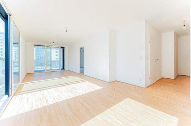 Terrassenwohnung mieten in 1220 Wien (Bild 2)