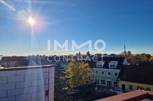 Anlageobjekt kaufen in 2514 Traiskirchen (Bild 4)