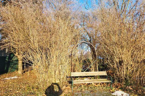 Einfamilienhaus kaufen in 2533 Klausen (Bild 4)