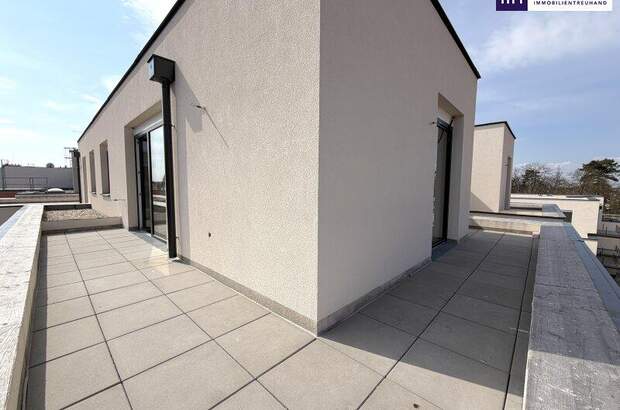 Terrassenwohnung kaufen in 1220 Wien (Bild 3)