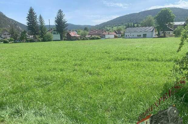 Grundstück kaufen in 2734 Puchberg (Bild 1)