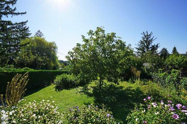 Grundstück kaufen in 1130 Wien (Bild 1)