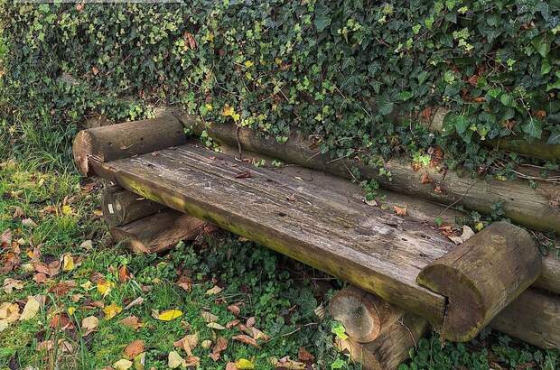 Grundstück mieten in 4491 Dörfl (Bild 4)