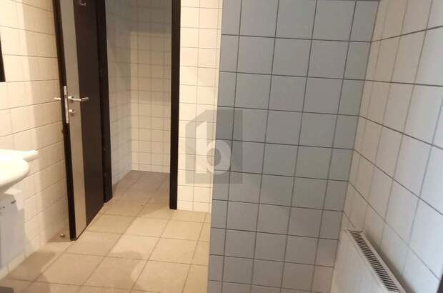 Einzelhandel mieten in 2460 Bruck an der Leitha (Bild 4)