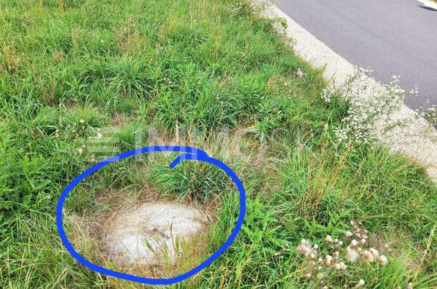 Grundstück kaufen in 4063 Hörsching (Bild 3)