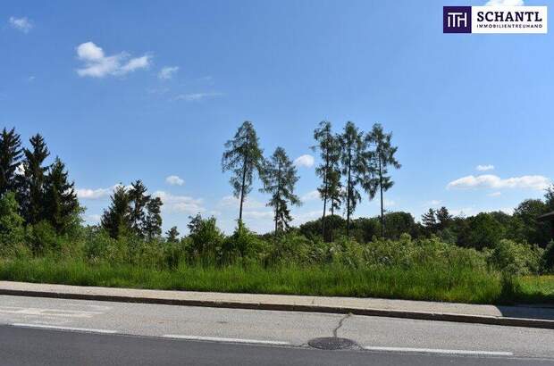 Grundstück kaufen in 8301 Laßnitzhöhe (Bild 2)