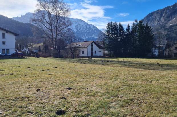 Grundstück kaufen in 4582 Spital (Bild 2)
