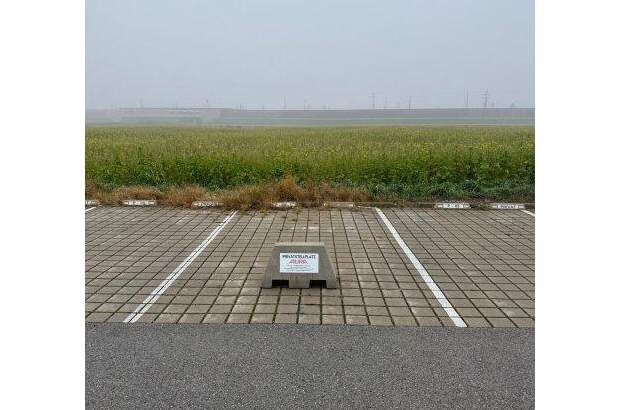 Halle / Lager / Produktion mieten in 2442 Unterwaltersdorf (Bild 3)