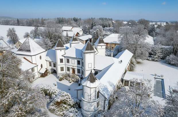 Schloss kaufen in 4693 Desselbrunn (Bild 5)