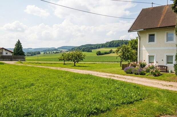 Gewerbeobjekt kaufen in 4912 Neuhofen (Bild 2)
