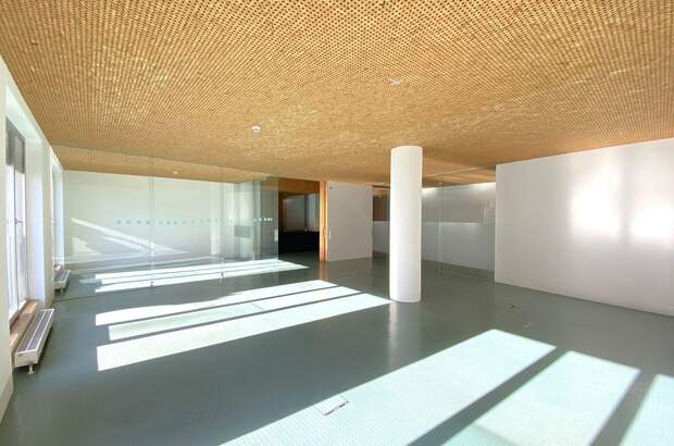 Gewerbeobjekt mieten in 5020 Salzburg (Bild 3)