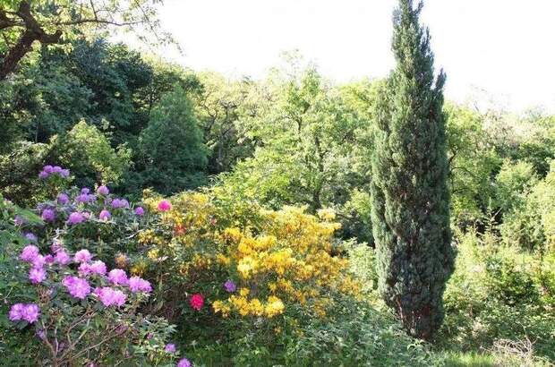 Einfamilienhaus kaufen in 1170 Wien