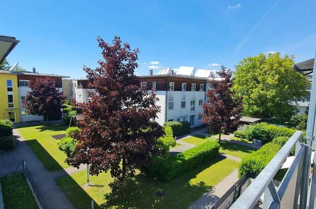 Terrassenwohnung kaufen in 4600 Wels (Bild 1)