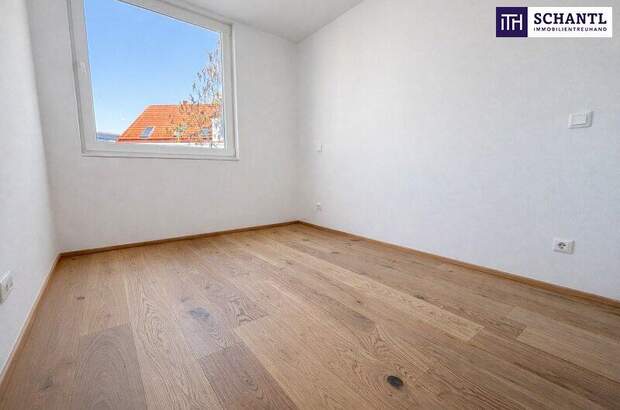 Wohnung kaufen in 2514 Traiskirchen (Bild 2)
