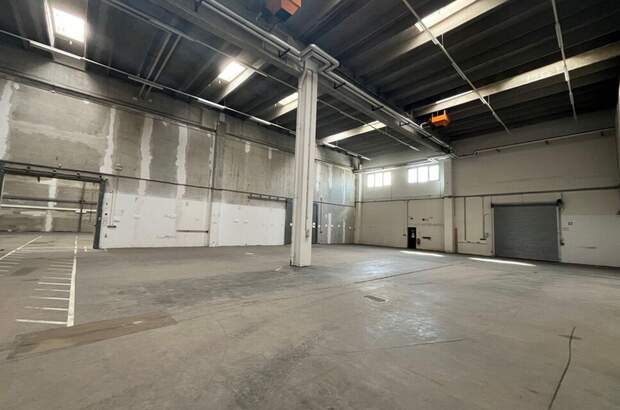 Gewerbeobjekt mieten in 2334 Vösendorf (Bild 3)