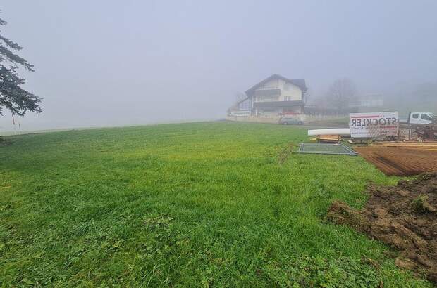 Grundstück kaufen in 4441 Behamberg (Bild 3)