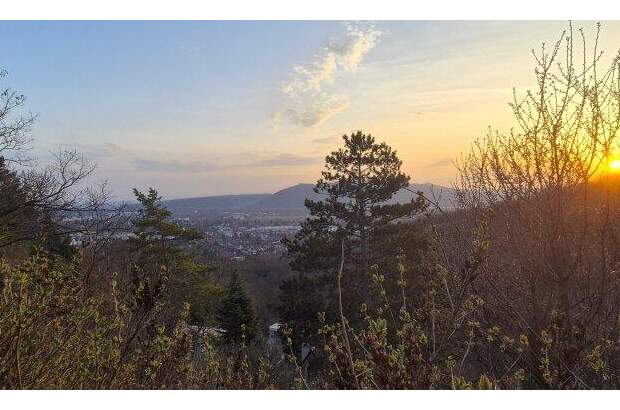 Grundstück kaufen in 2103 Langenzersdorf (Bild 1)