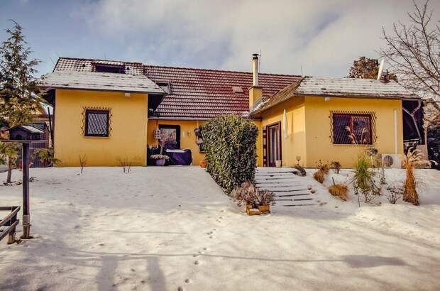 Haus mit Garten kaufen in 1100 Wien (Bild 2)