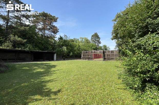 Grundstück kaufen in 7100 Neusiedl (Bild 5)