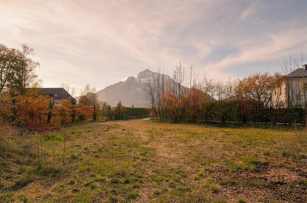 Grundstück kaufen in 5081 Anif (Bild 1)