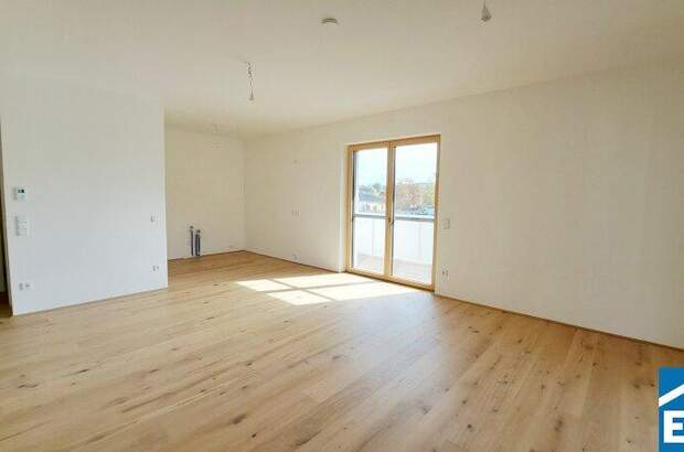 Terrassenwohnung kaufen in 7100 Neusiedl (Bild 3)