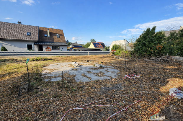 Grundstück kaufen in 2752 Wöllersdorf (Bild 3)