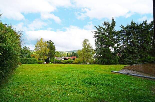 Einfamilienhaus kaufen in 2392 Sulz (Bild 4)