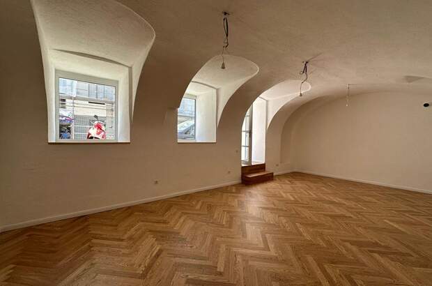 Gewerbeobjekt kaufen in 1090 Wien (Bild 2)